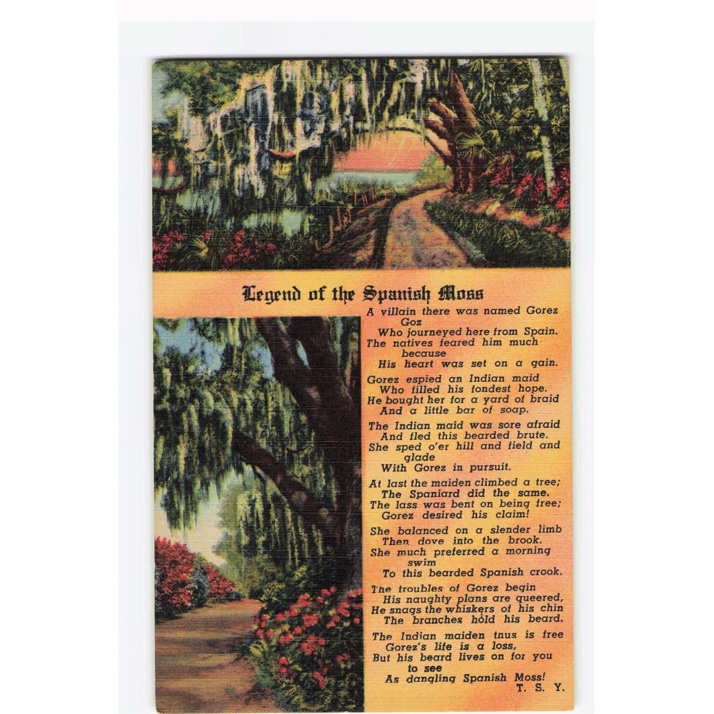 Vintage Legend of the Spanish Moss Linen Postcard Tropical Florida Series VG+
